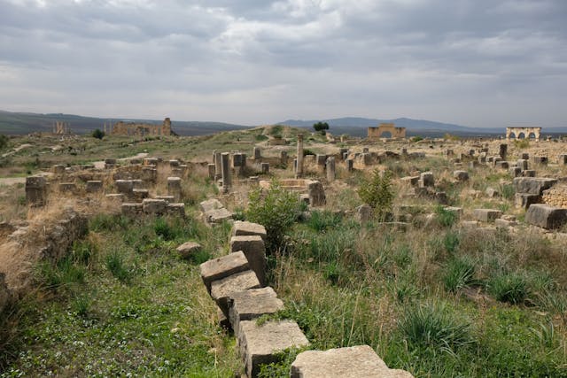 Ancient Ruins of Volubulis in Meknes