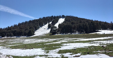 Atlas Mountains covered in snow and pine trees