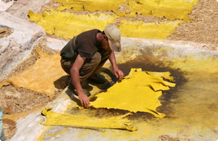 Man working in a tannery in Fez