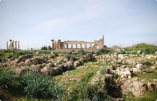 Meknes Volubilis