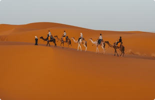 People on camels in the desert