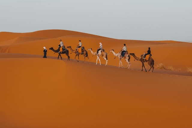 People on camels in the moroccan desert