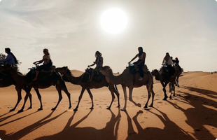 Tourists on camel in merzouga