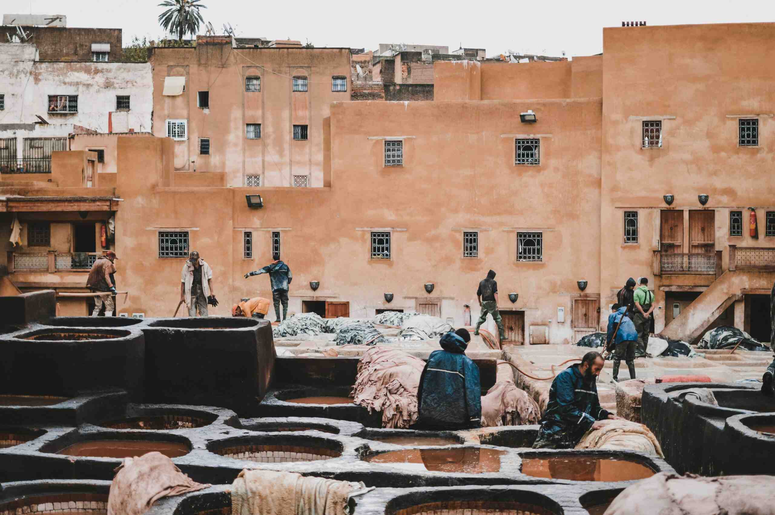 Fez tannery