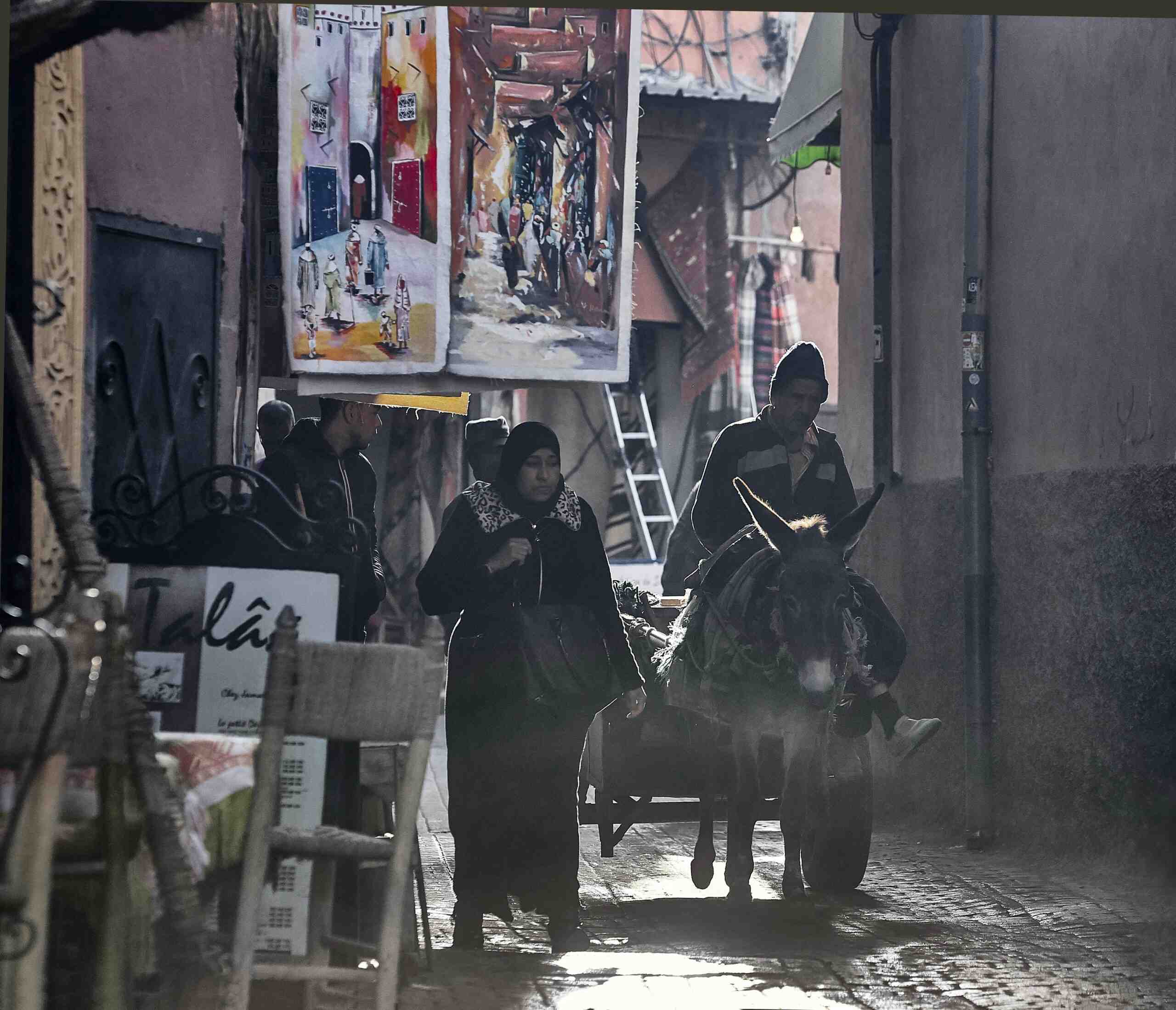 Donkey in a street in Marrakech