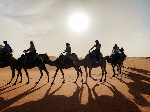 people on camels in the Merzouga desert