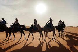 people on camels in the Merzouga desert