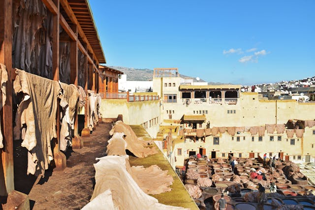 Leather hides drying in a tannery in fez