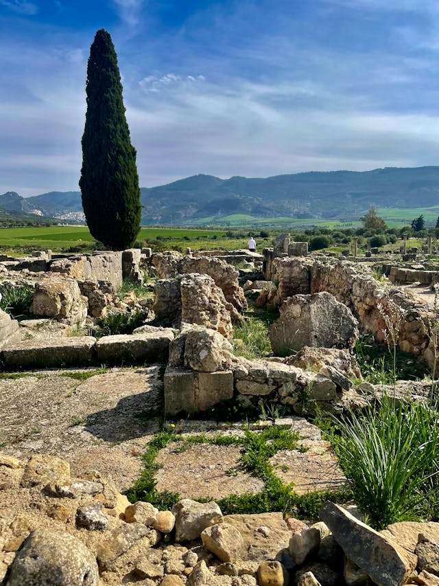 Volubilis Meknes Morocco